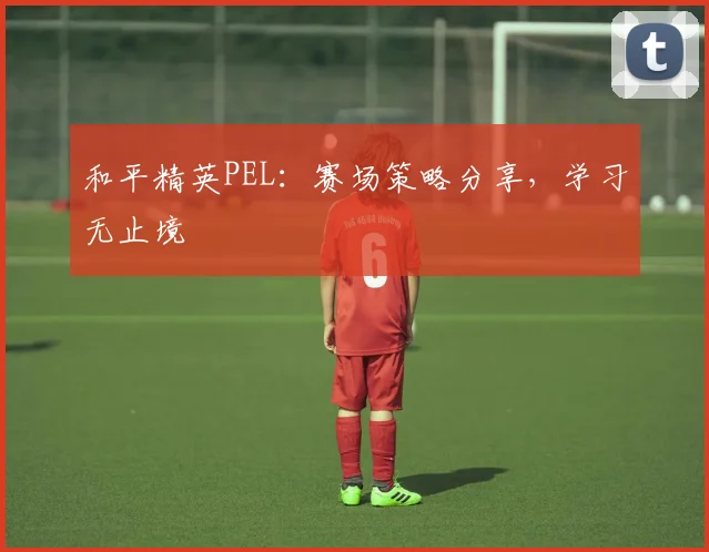 和平精英PEL:赛场策略分享,学习无止境