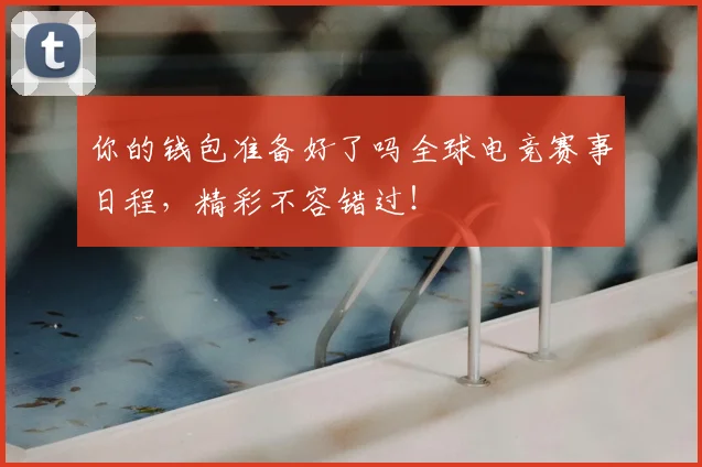 互动解说服务